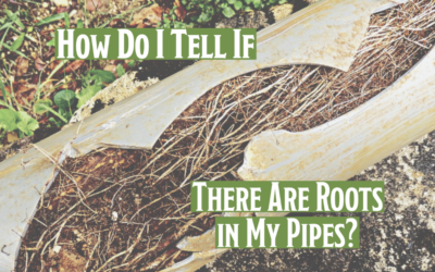 How Do I Tell If There Are Roots In My Pipes? 