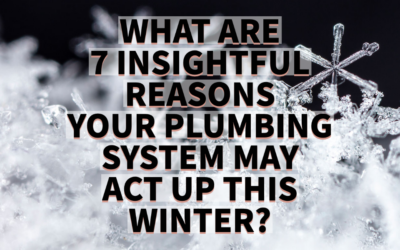 WHAT ARE 7 INSIGHTFUL REASONS YOUR PLUMBING SYSTEM MAY ACT UP THIS WINTER?